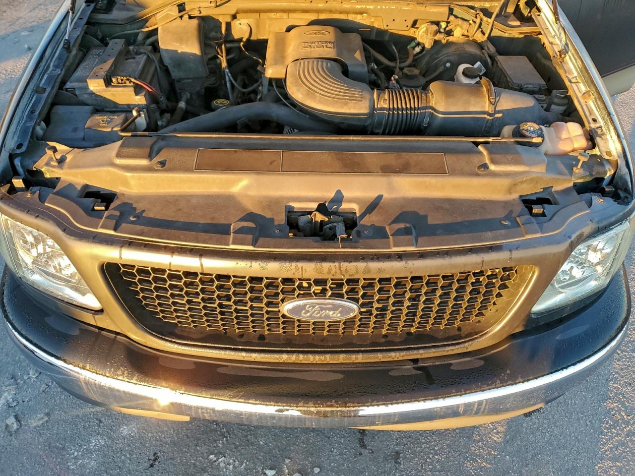 1999 Ford F150 VIN: 1FTRX07W2XKC02303 Lot: 95700445