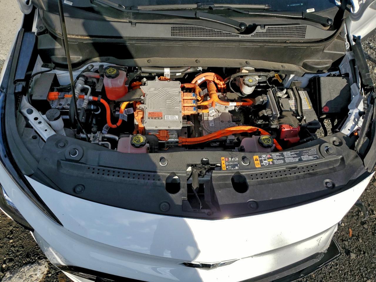 2023 Chevrolet Bolt Euv Lt VIN: 1G1FY6S00P4204554 Lot: 94415765