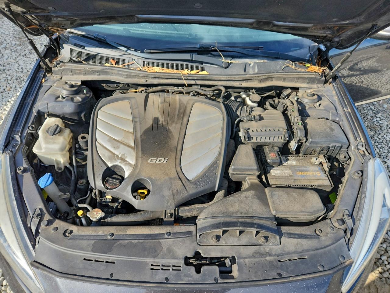 2014 Kia Cadenza Premium VIN: KNALN4D71E5132527 Lot: 96233465