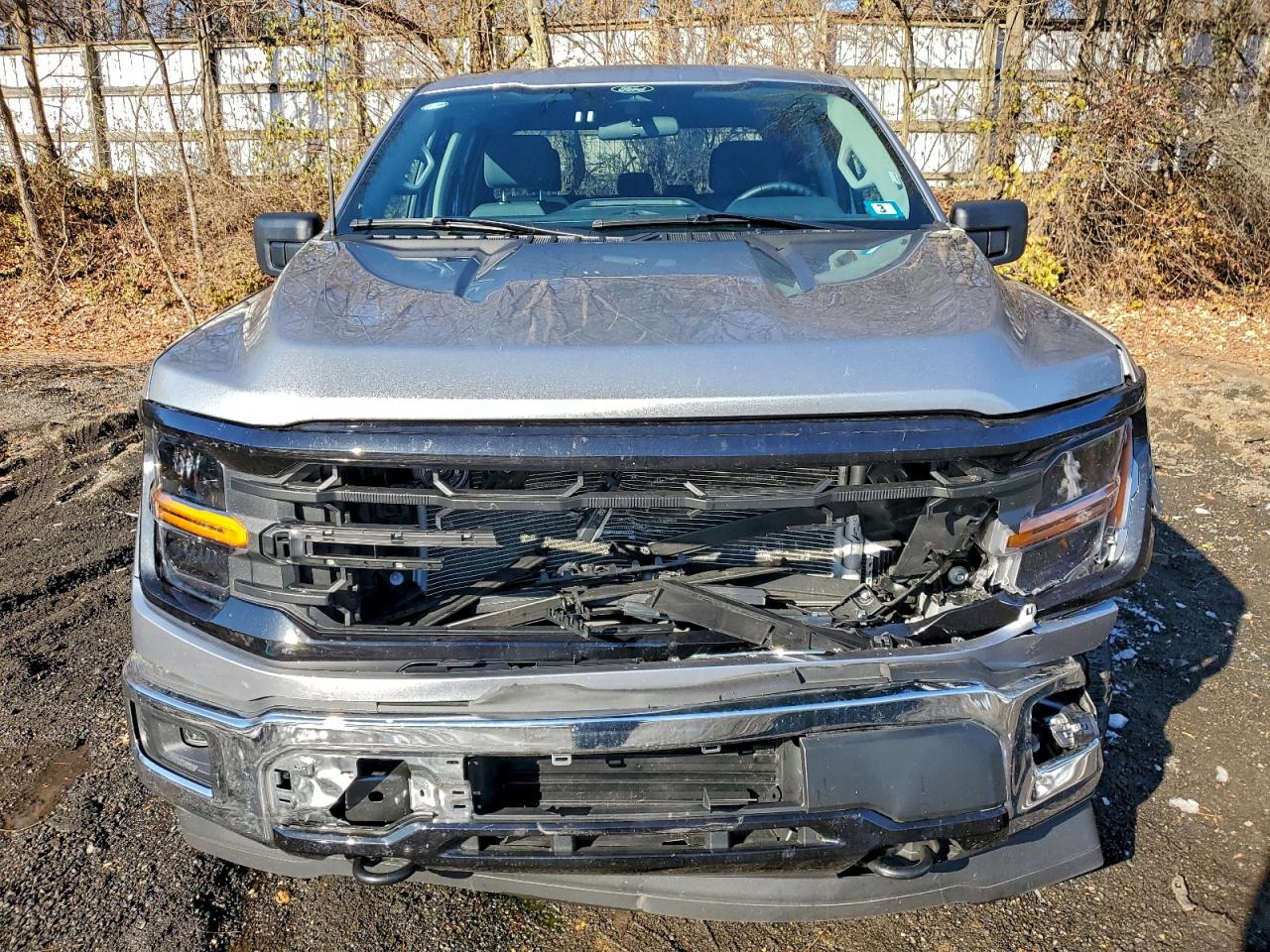 2025 Ford F150 Xlt VIN: 1FTEW3LP4SKE63121 Lot: 97401535