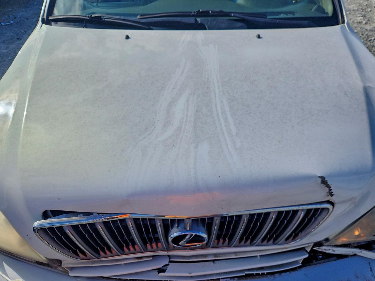 2001 Lexus Rx 300 VIN: JTJGF10U110100094 Lot: 94417675