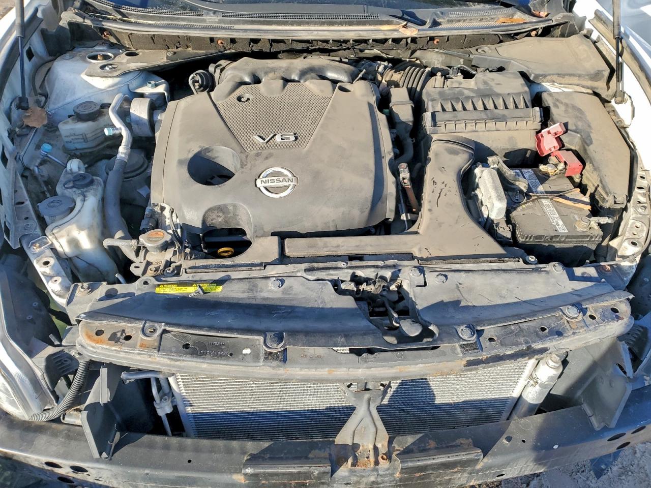 2009 Nissan Maxima S VIN: 1N4AA51E59C824487 Lot: 96256185