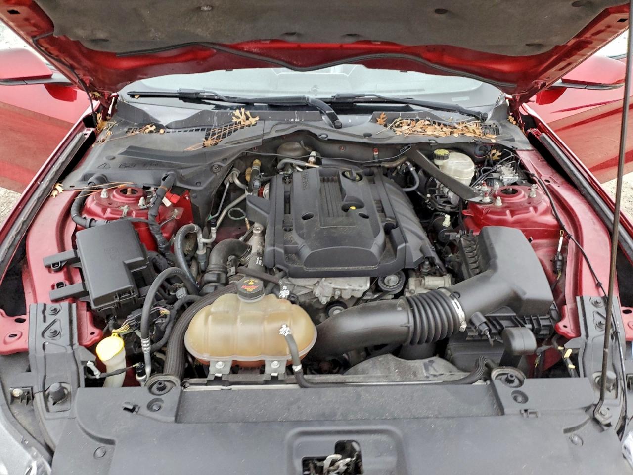 2015 Ford Mustang VIN: 1FA6P8TH7F5317572 Lot: 95270875