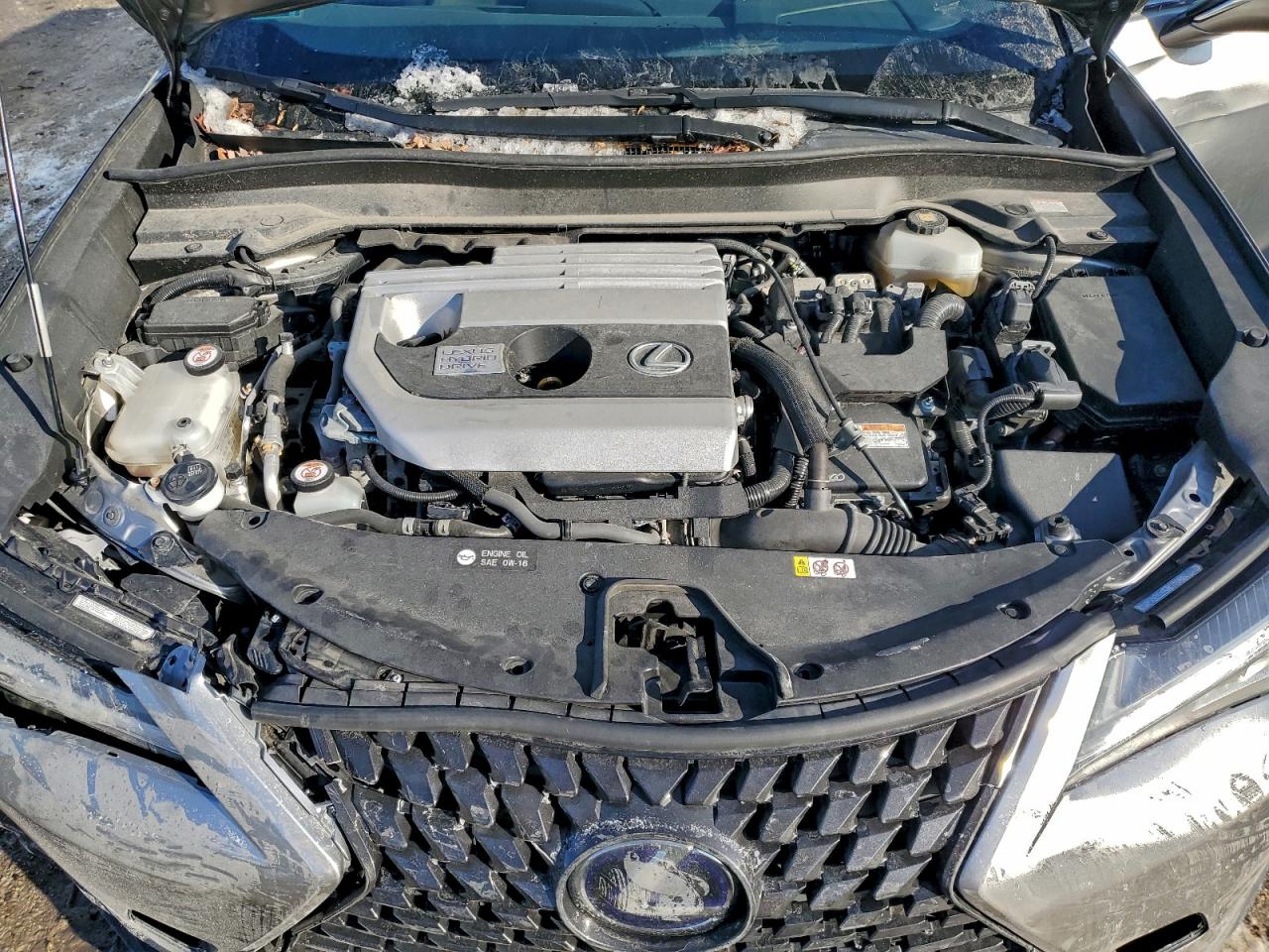 2019 Lexus Ux 250H VIN: JTHU9JBH7K2008831 Lot: 96967485