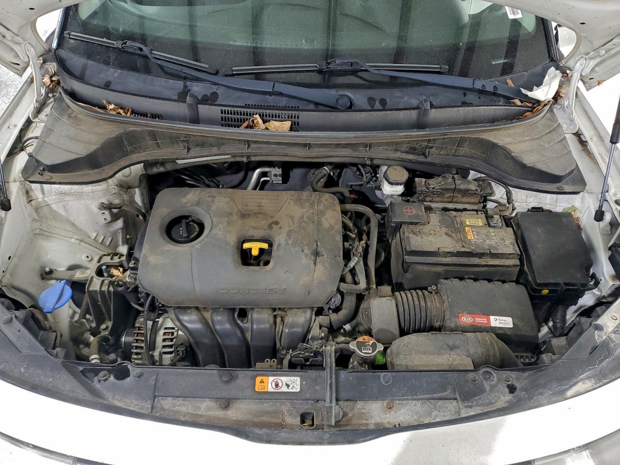 2021 Kia Soul Lx VIN: KNDJ23AU4M7124481 Lot: 96164605