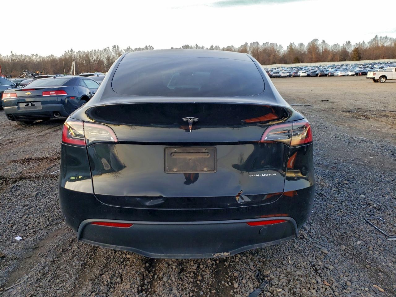 2023 Tesla Model Y VIN: 7SAYGDEE5PA124092 Lot: 94333795