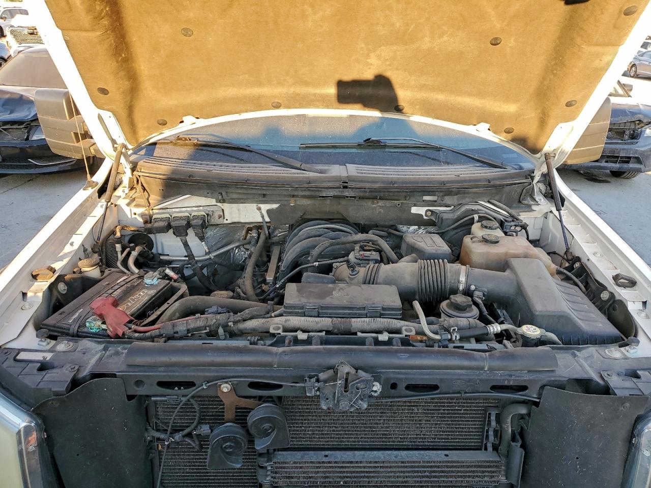 2010 Ford F150 Supercrew VIN: 1FTEW1E82AFB53101 Lot: 96905575