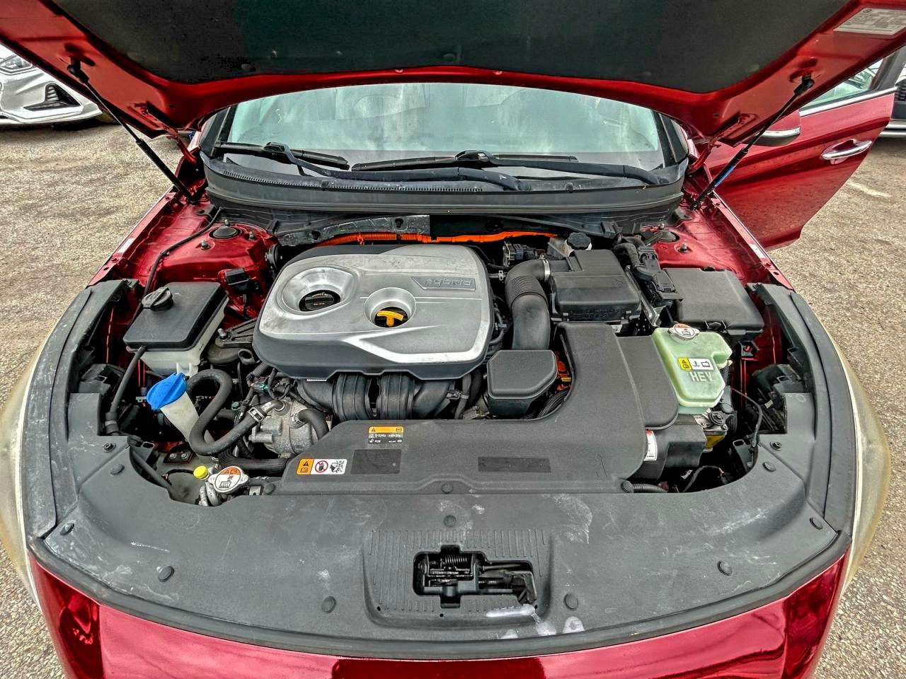 Фото: KMHE24L15GA038612