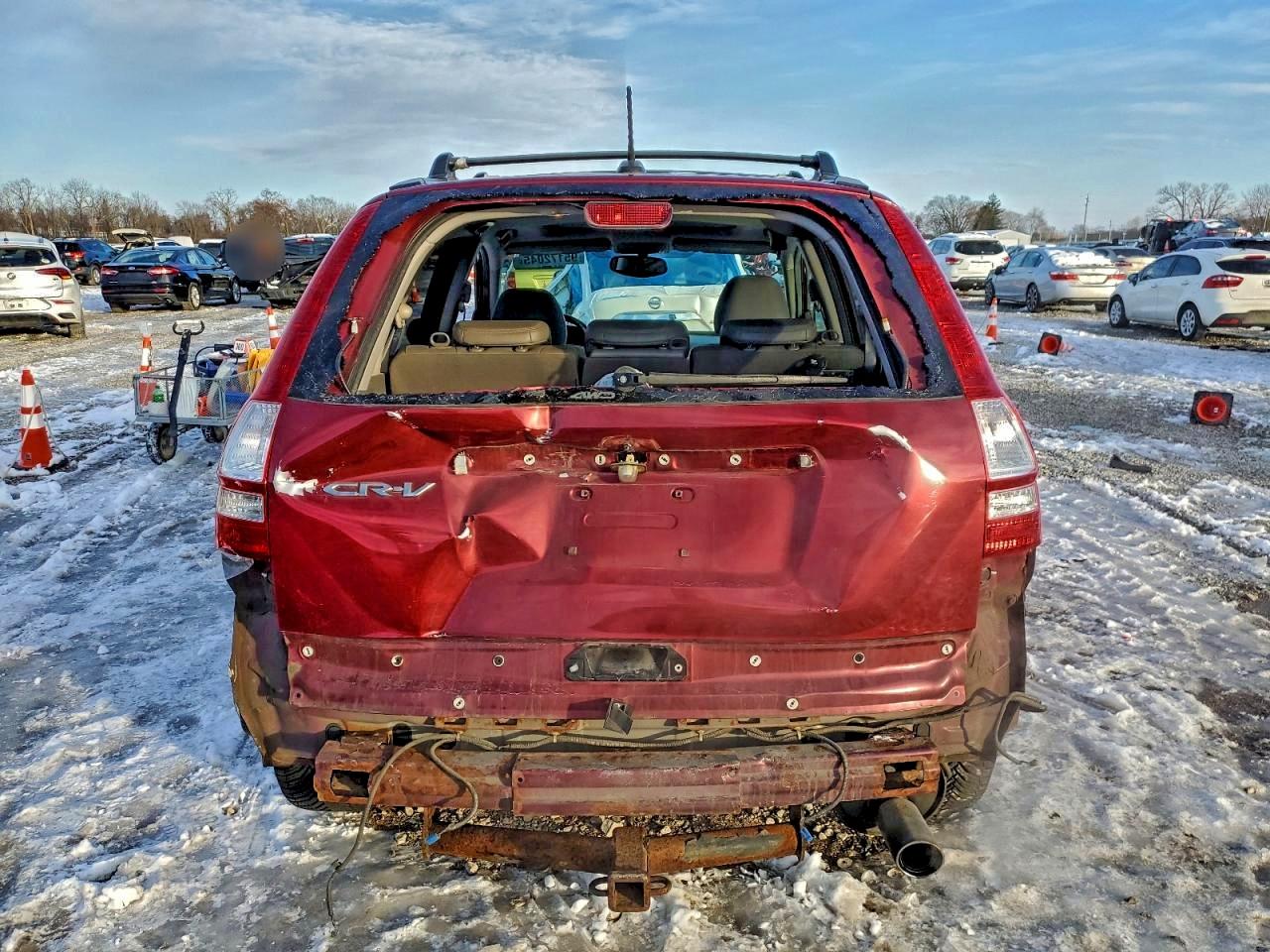 2007 Honda Cr-V Exl VIN: JHLRE48747C048775 Lot: 95172045