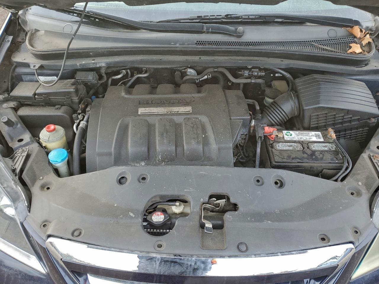 2005 Honda Odyssey Exl VIN: 5FNRL38675B117348 Lot: 95835225