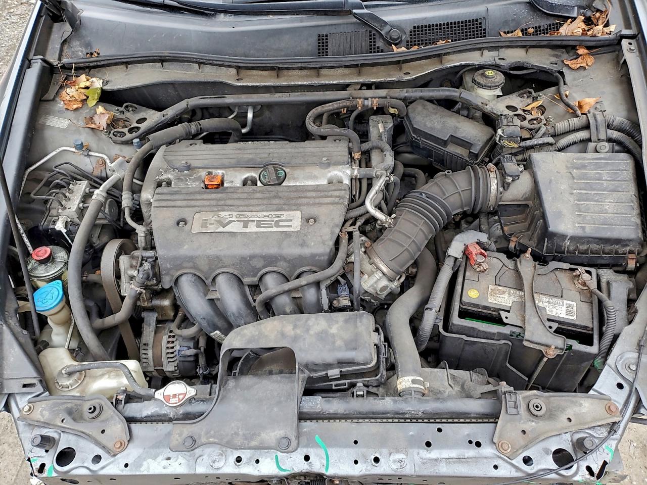 2009 Honda Accord Exl VIN: 1HGCP26819A137006 Lot: 95695005