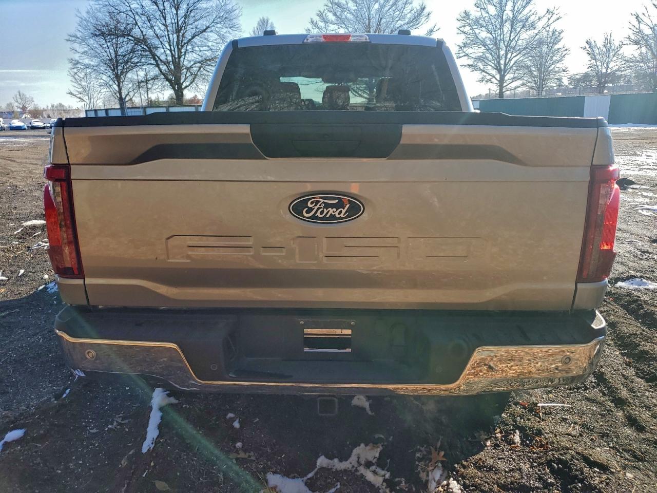 2025 Ford F150 Xlt VIN: 1FTEW3LP4SKE63121 Lot: 97401535