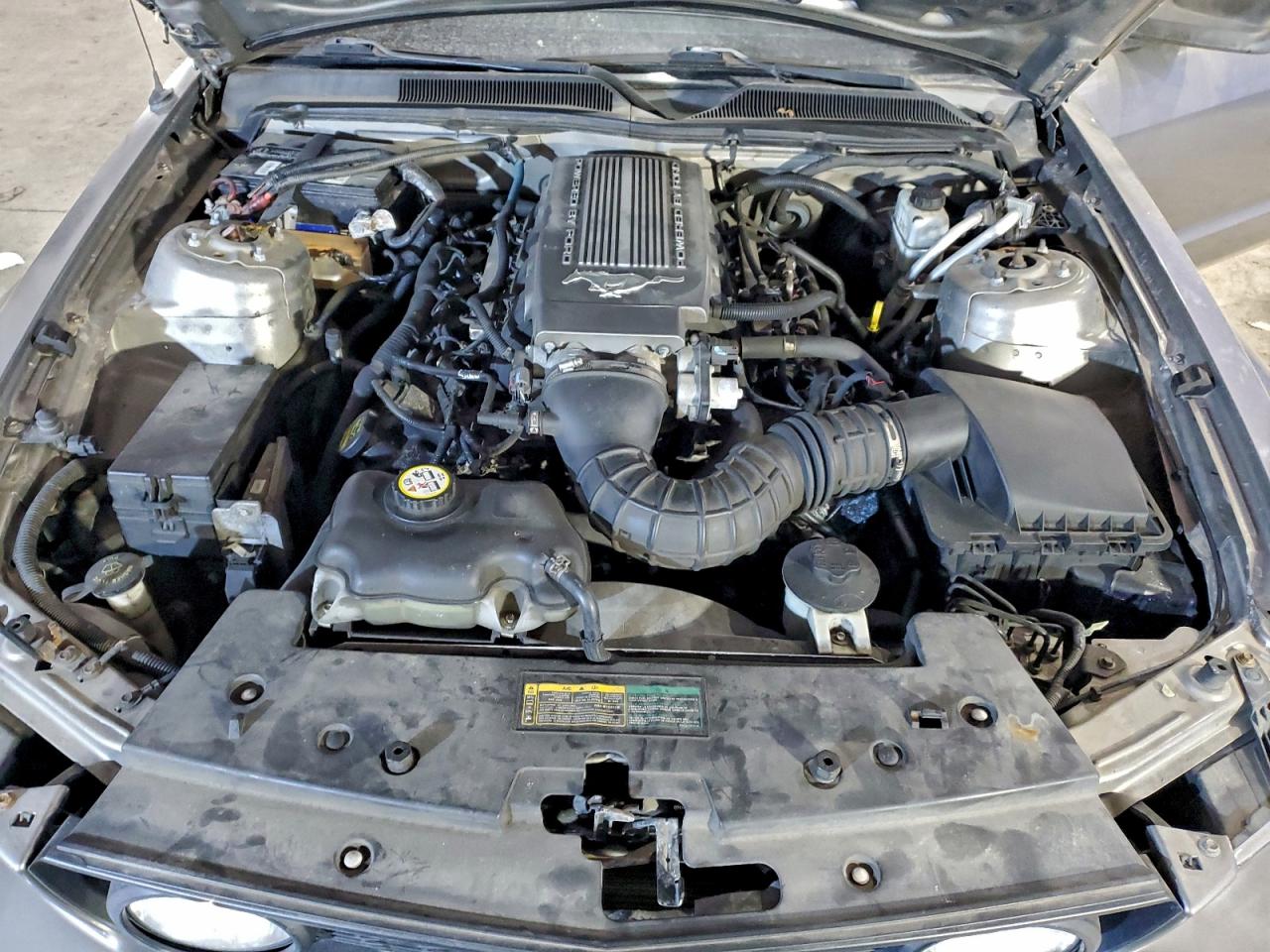 2009 Ford Mustang Gt VIN: 1ZVHT82H995145580 Lot: 96566365