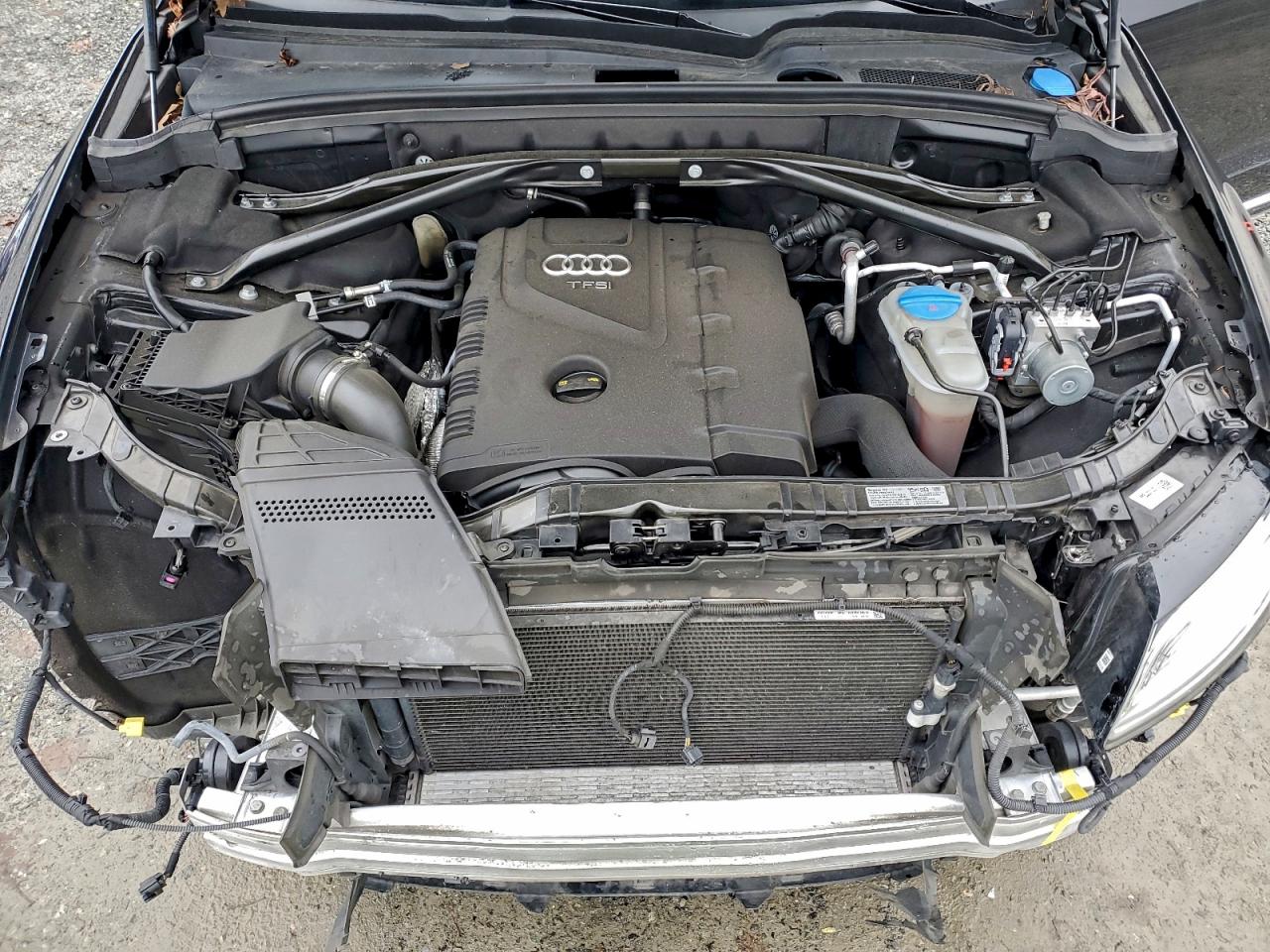 2014 Audi Q5 Premium Plus VIN: WA1LFBFP8EA069249 Lot: 94086885