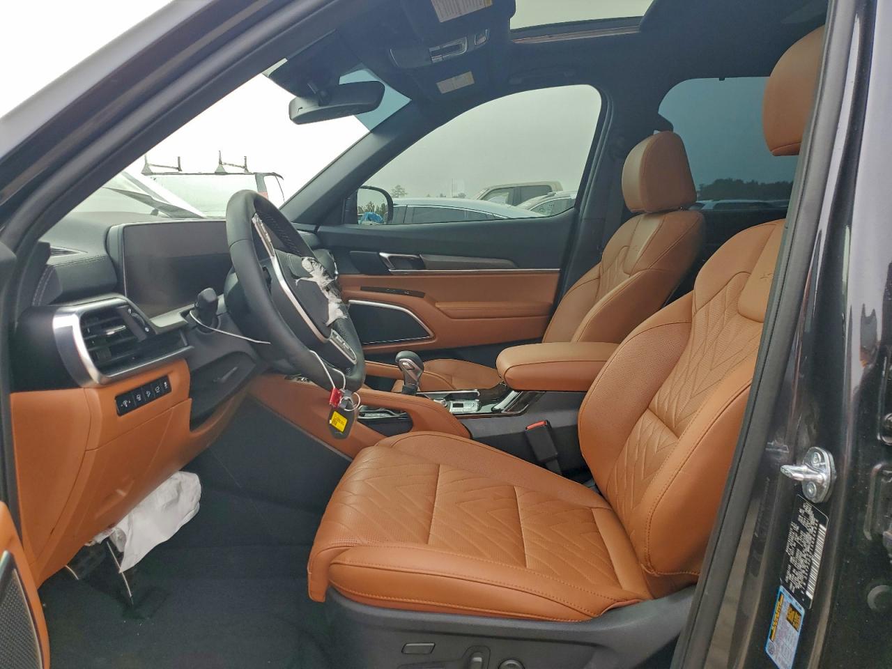 2025 Kia Telluride Sx VIN: 5XYP5DGC1SG666949 Lot: 96313955