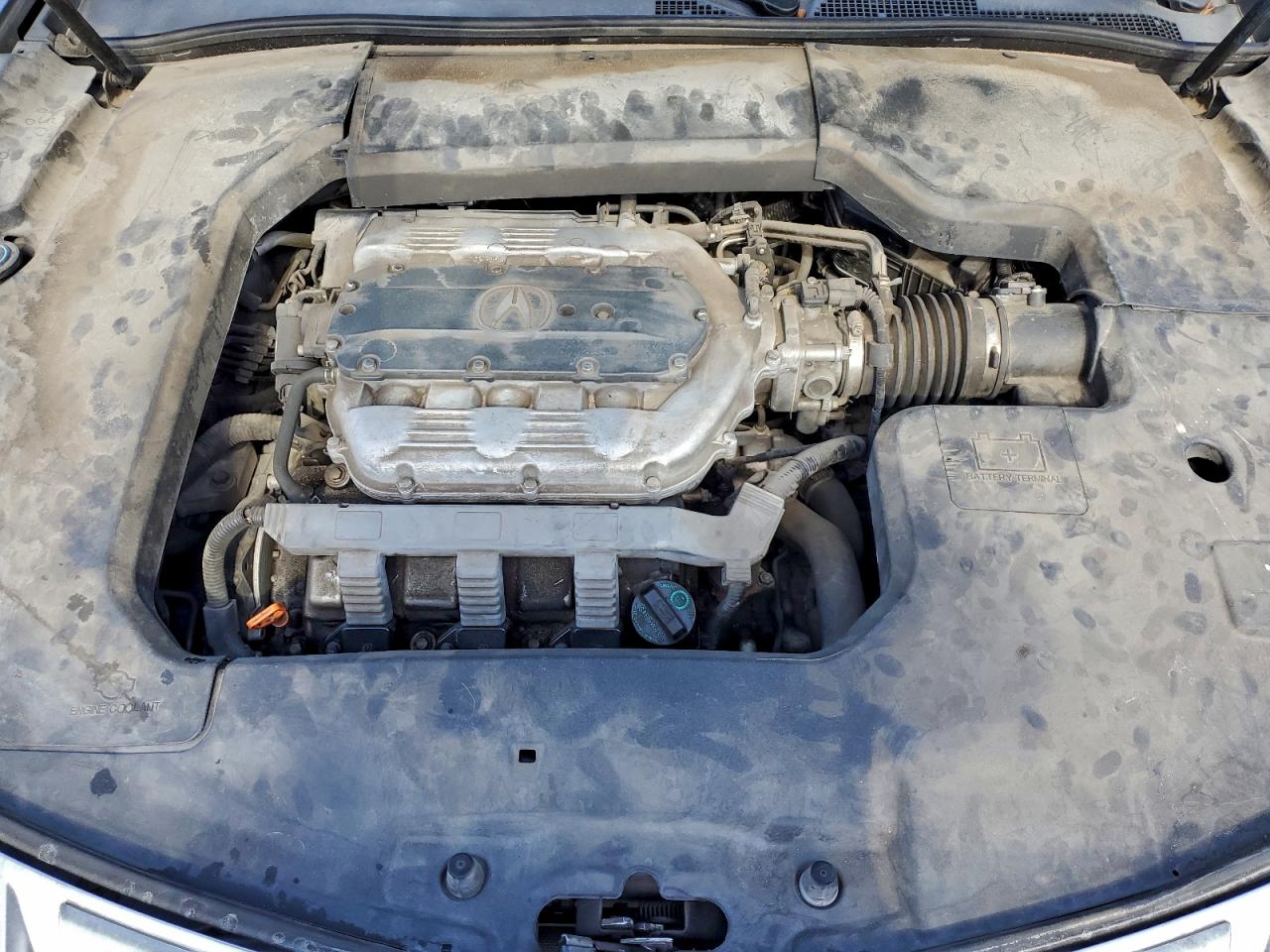 Фото: 19UUA86589A012308