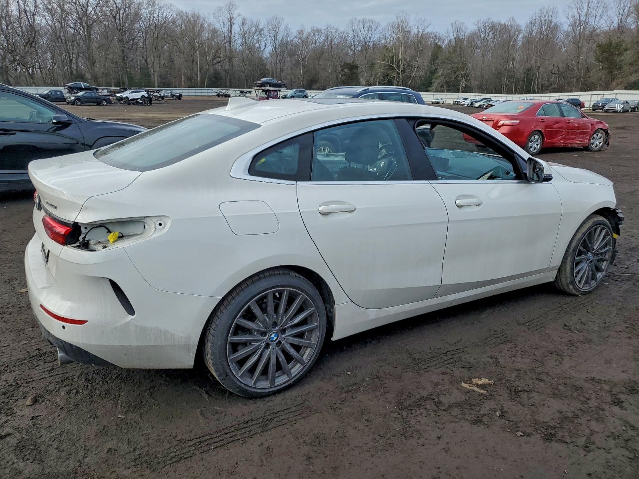 2022 BMW 228Xi VIN: WBA73AK00N7K39326 Lot: 97156785