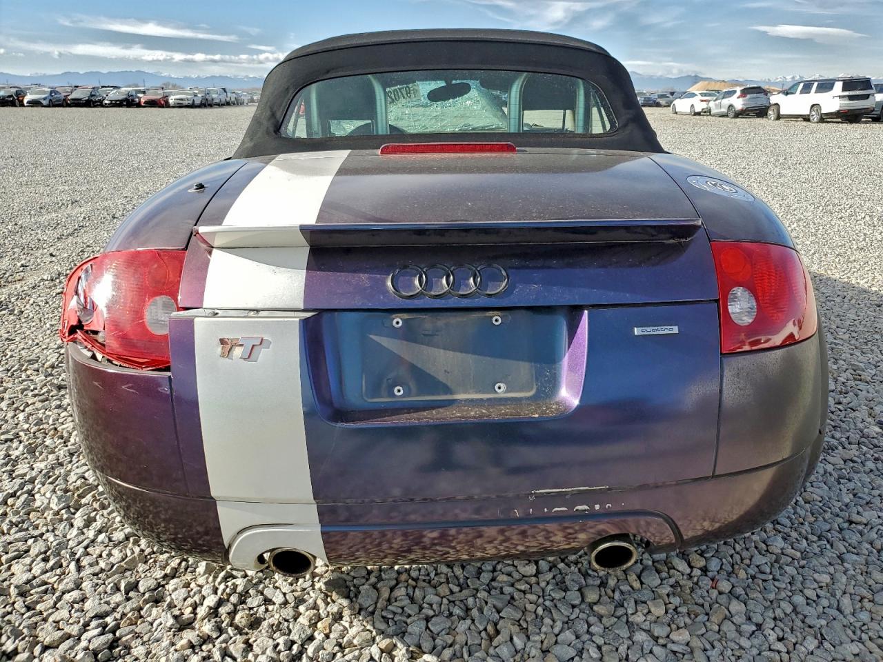 Фото: TRUUT28N211022247