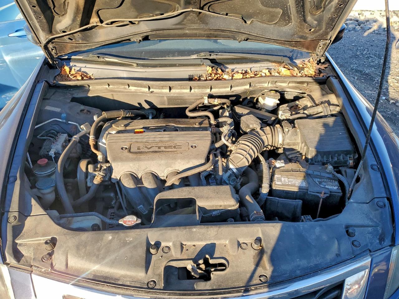 2009 Honda Accord Lxp VIN: 1HGCP264X9A145523 Lot: 96919285