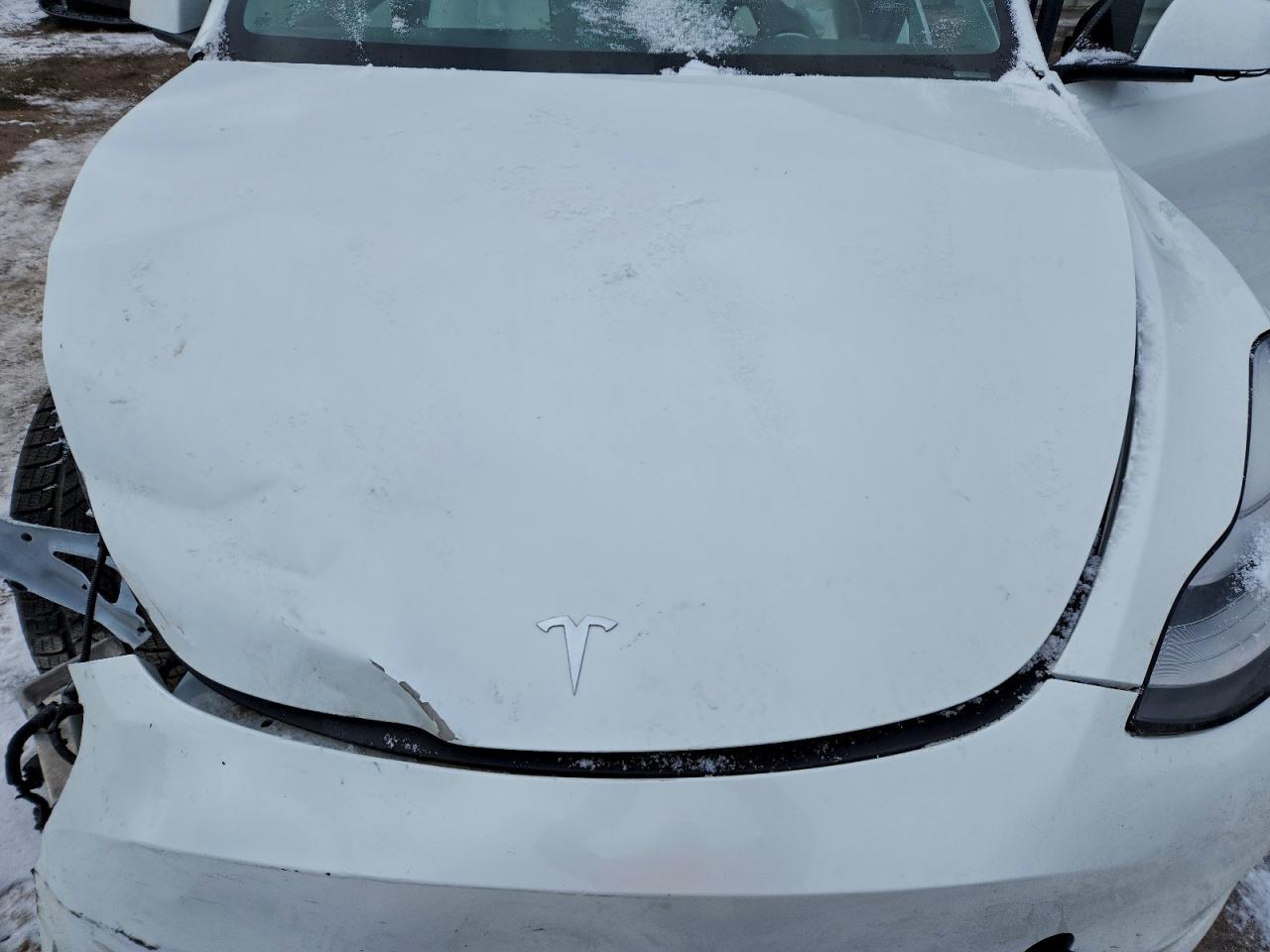 2021 Tesla Model Y VIN: 5YJYGDEE7MF089101 Lot: 95179375