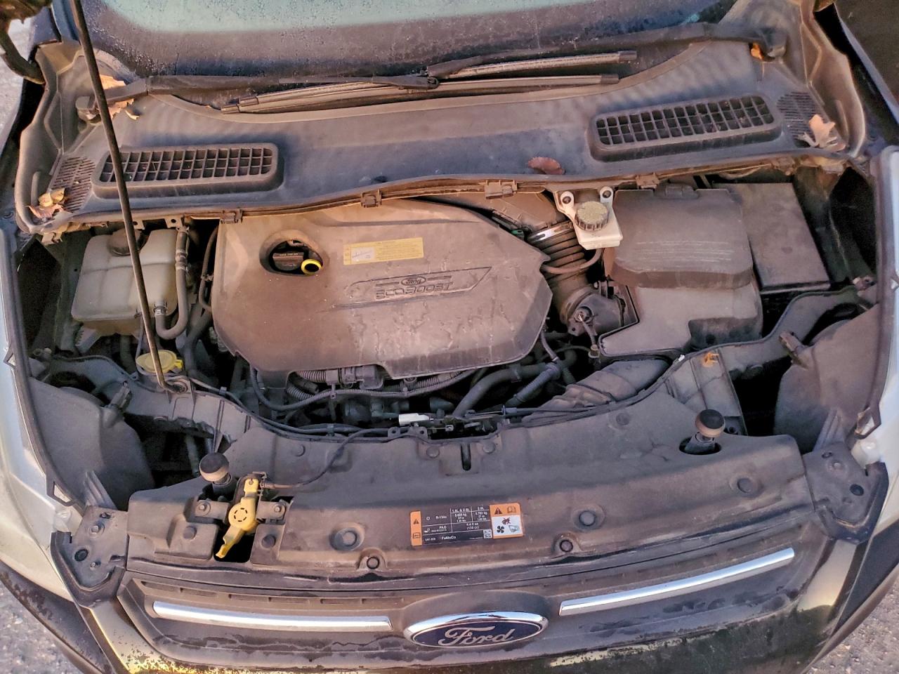 2014 Ford Escape Se VIN: 1FMCU0GX6EUB15704 Lot: 97932505