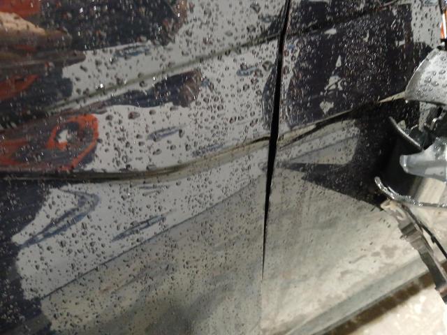 2024 VOLKSWAGEN POLO