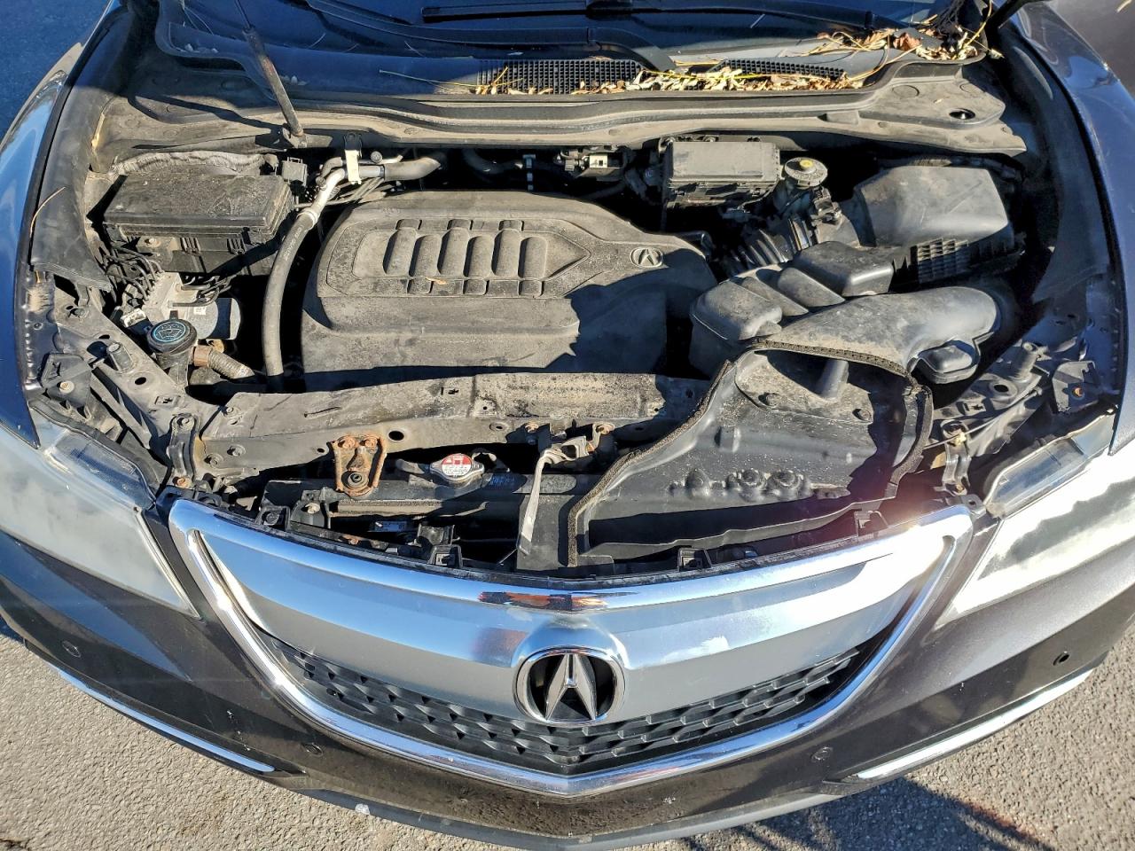 Фото: 5FRYD4H90GB010247