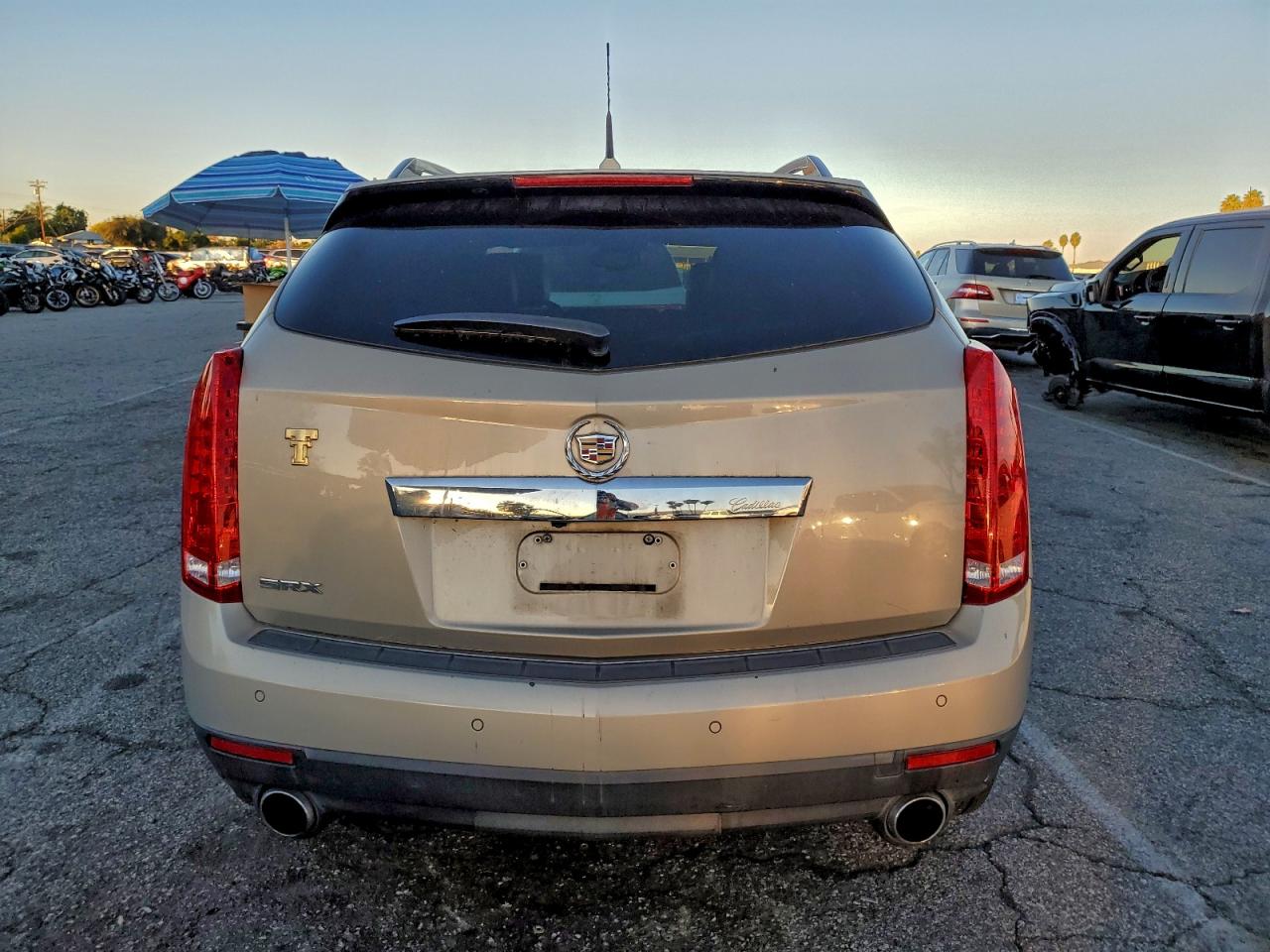 2010 Cadillac Srx Luxury Collection VIN: 3GYFNAEY2AS643857 Lot: 95995685