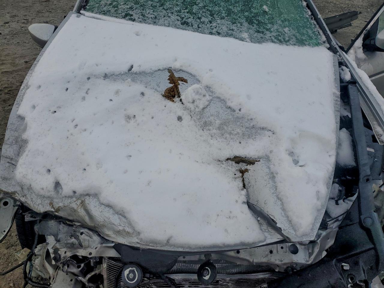 2009 Honda Accord Lx VIN: 1HGCP26389A188345 Lot: 95964565