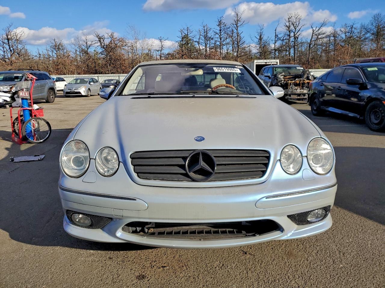 2005 Mercedes-Benz Cl 500 VIN: WDBPJ75J55A044517 Lot: 96519985