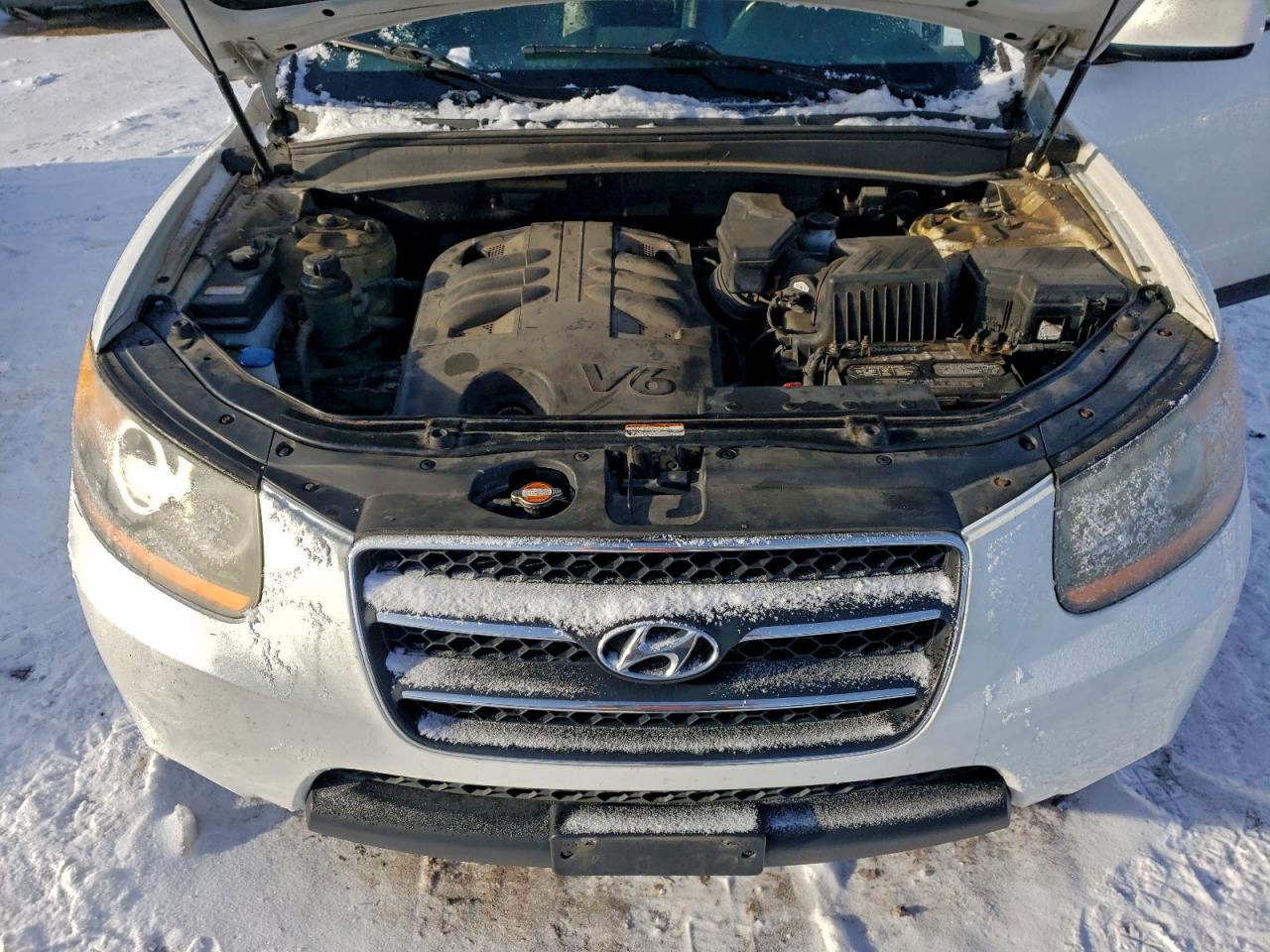 2009 Hyundai Santa Fe Se VIN: 5NMSH73E99H274683 Lot: 95108735