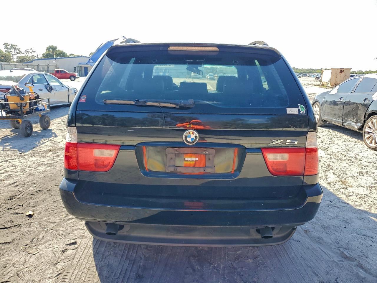 2003 BMW X5 3.0I VIN: 5UXFA53573LV74169 Lot: 94669925