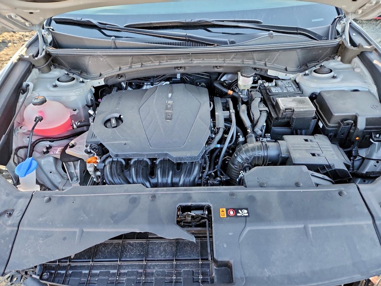 2024 Hyundai Tucson Limited VIN: 5NMJECDE7RH325268 Lot: 97105455