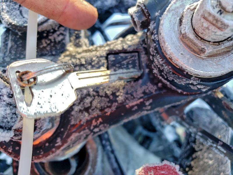 1999 HONDA CBR600 F4  