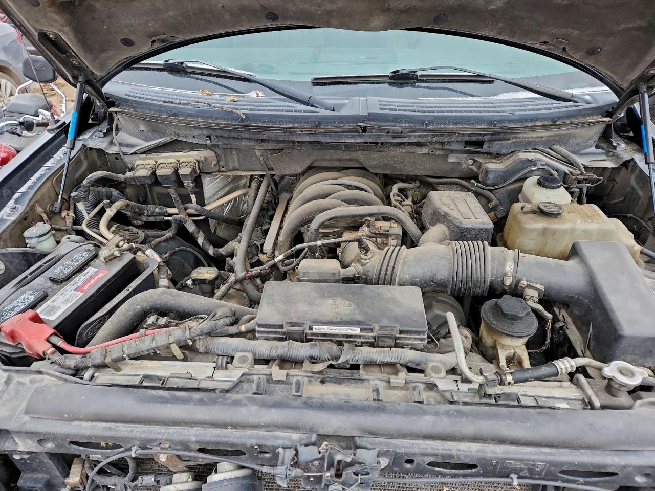 2010 Ford F150 Supercrew VIN: 1FTEW1E84AFA96318 Lot: 93735205