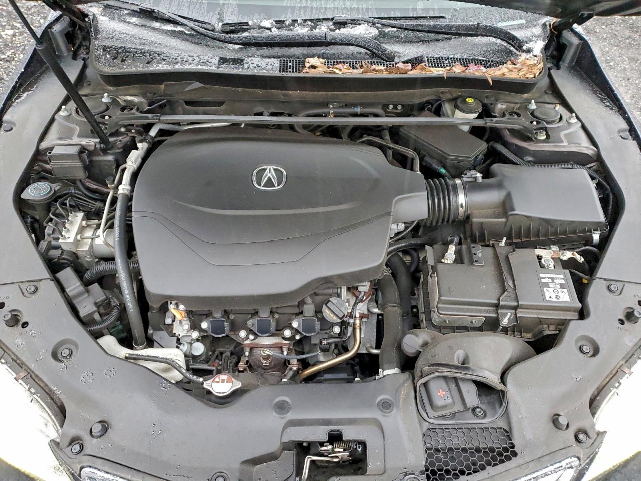 Фото: 19UUB2F56FA007453