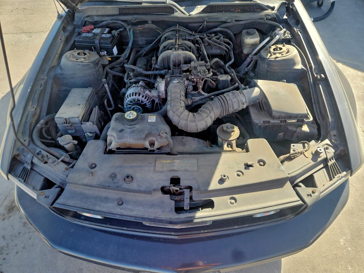 2007 Ford Mustang VIN: 1ZVFT84N675352967 Lot: 95892535