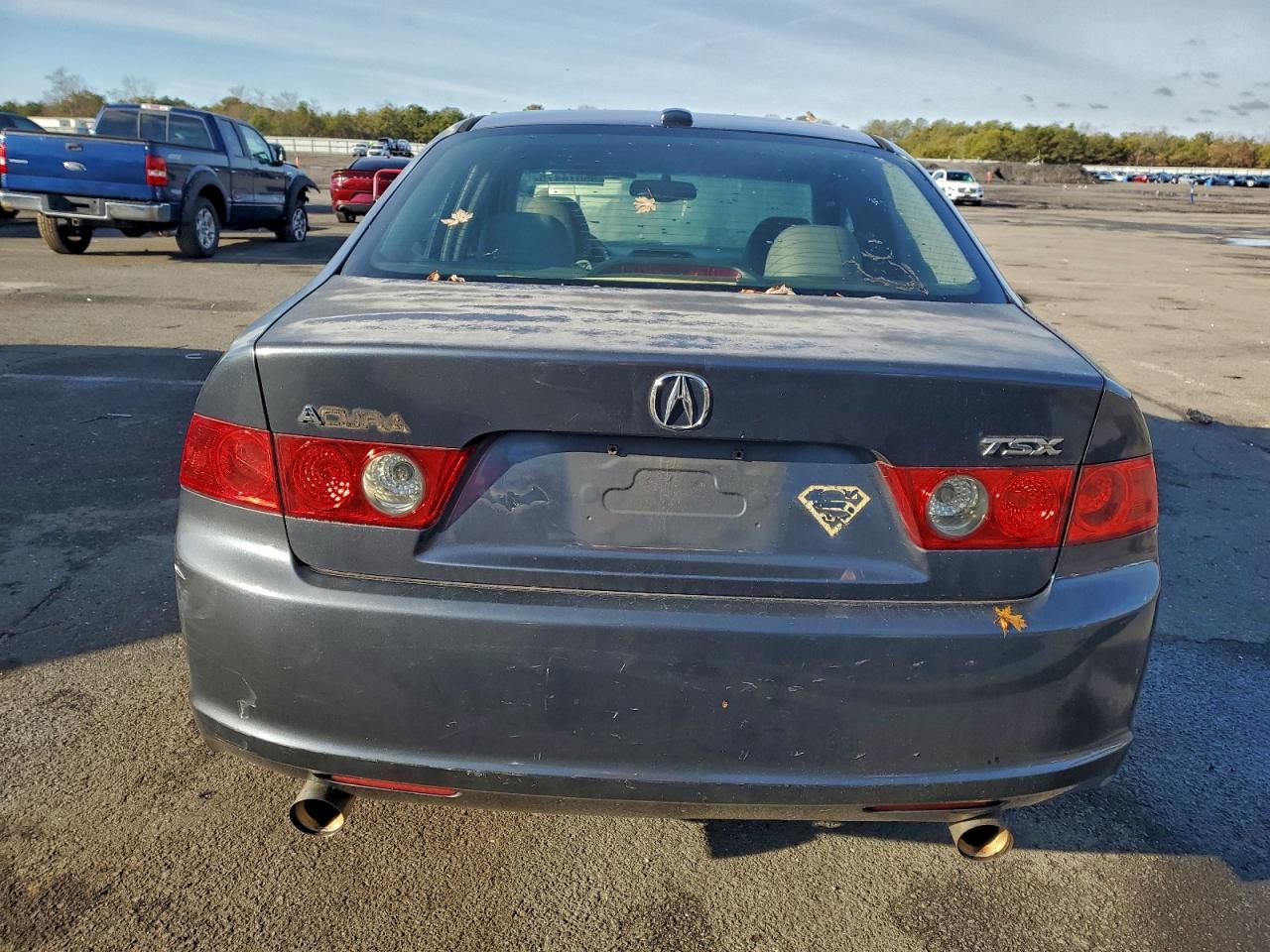 2006 Acura Tsx VIN: JH4CL96946C038559 Lot: 95074475