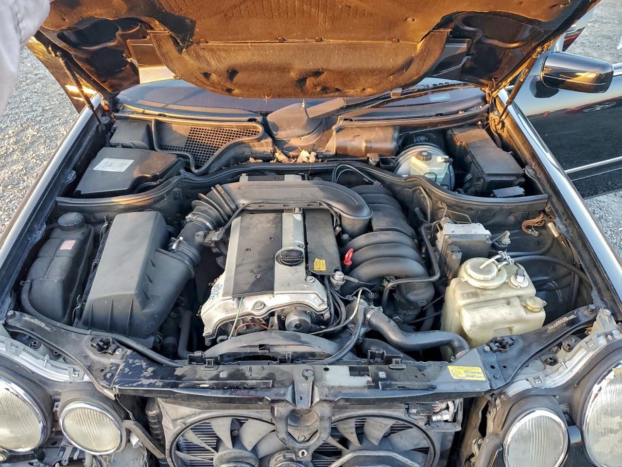 1997 Mercedes-Benz E 320 VIN: WDBJF55F0VA381412 Lot: 94896765