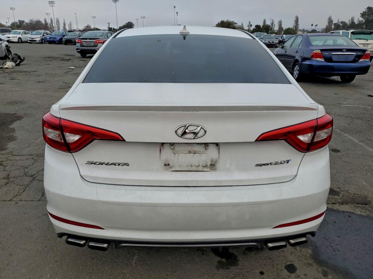 2017 Hyundai Sonata Sport VIN: 5NPE34AB3HH563207 Lot: 96543235