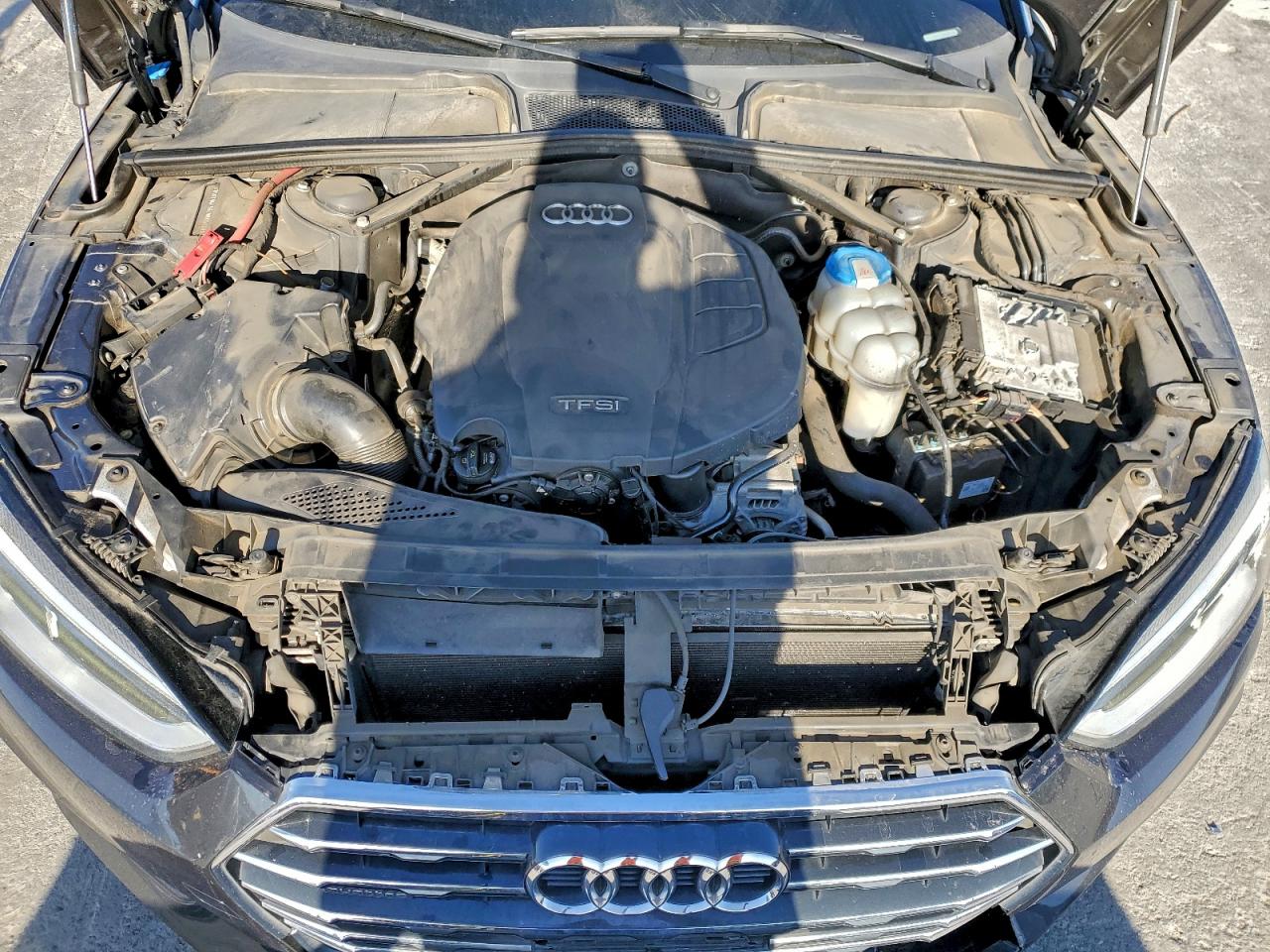 Фото: WAUYNGF58JN006100