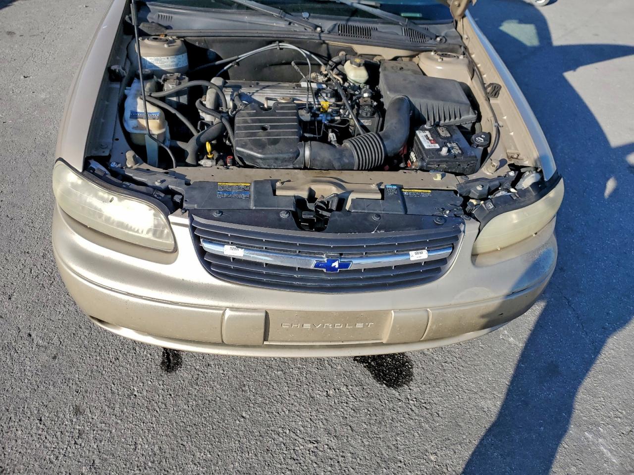 2005 Chevrolet Classic VIN: 1G1ND52F05M126019 Lot: 95450965