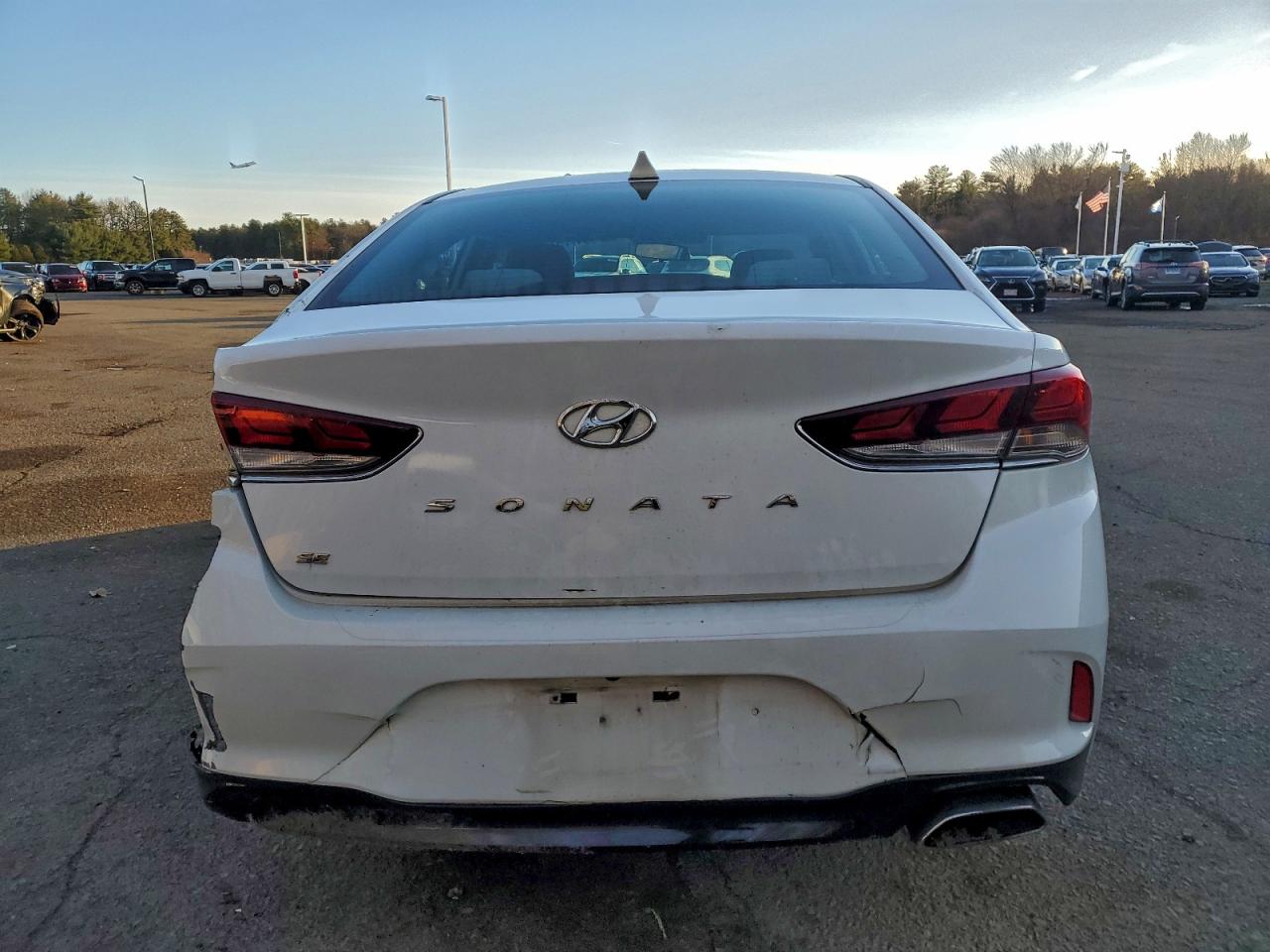 2018 Hyundai Sonata Se VIN: 5NPE24AFXJH641381 Lot: 94779745