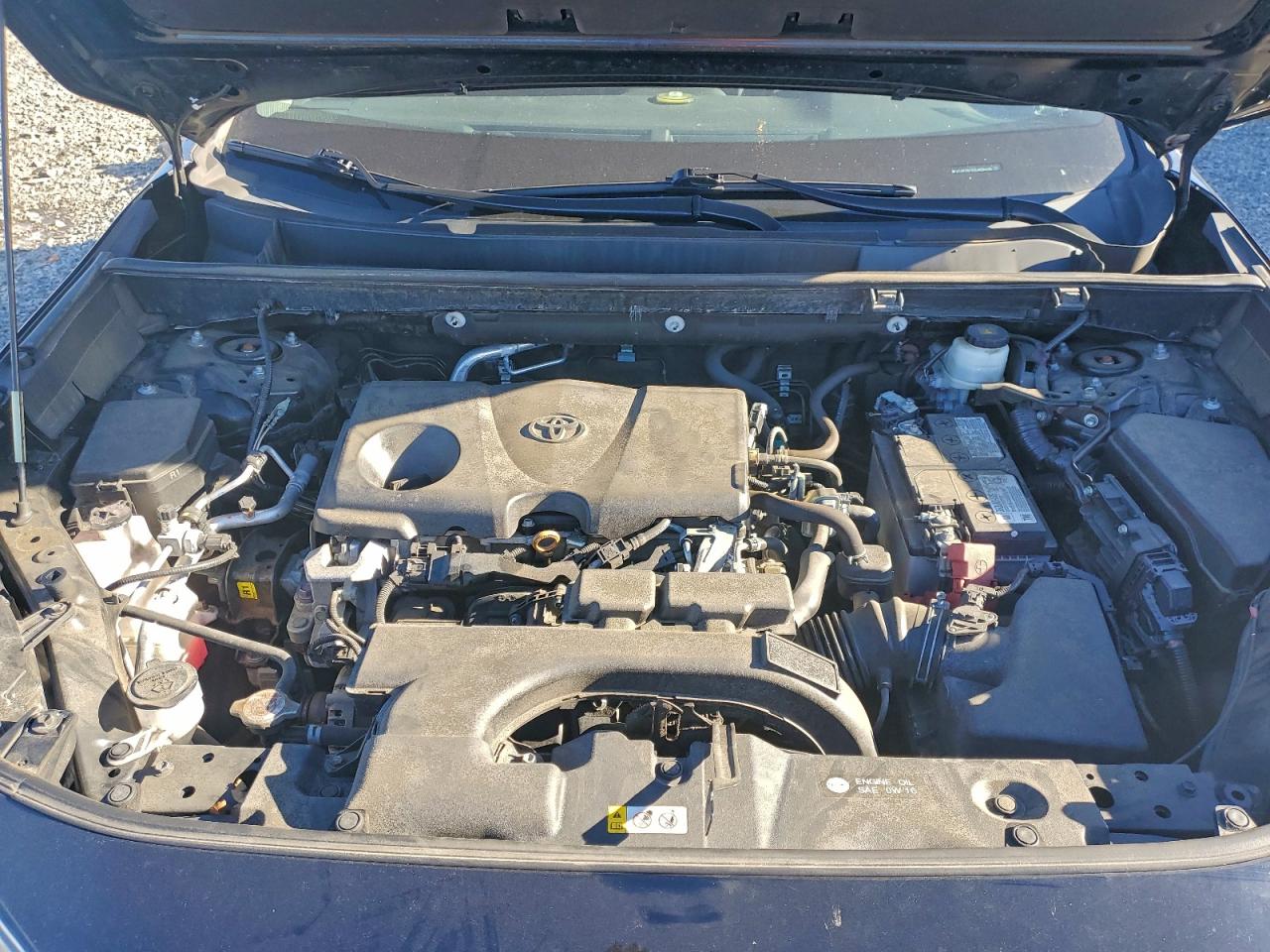 2020 Toyota Rav4 Xle VIN: 2T3P1RFV2LW094286 Lot: 96554935