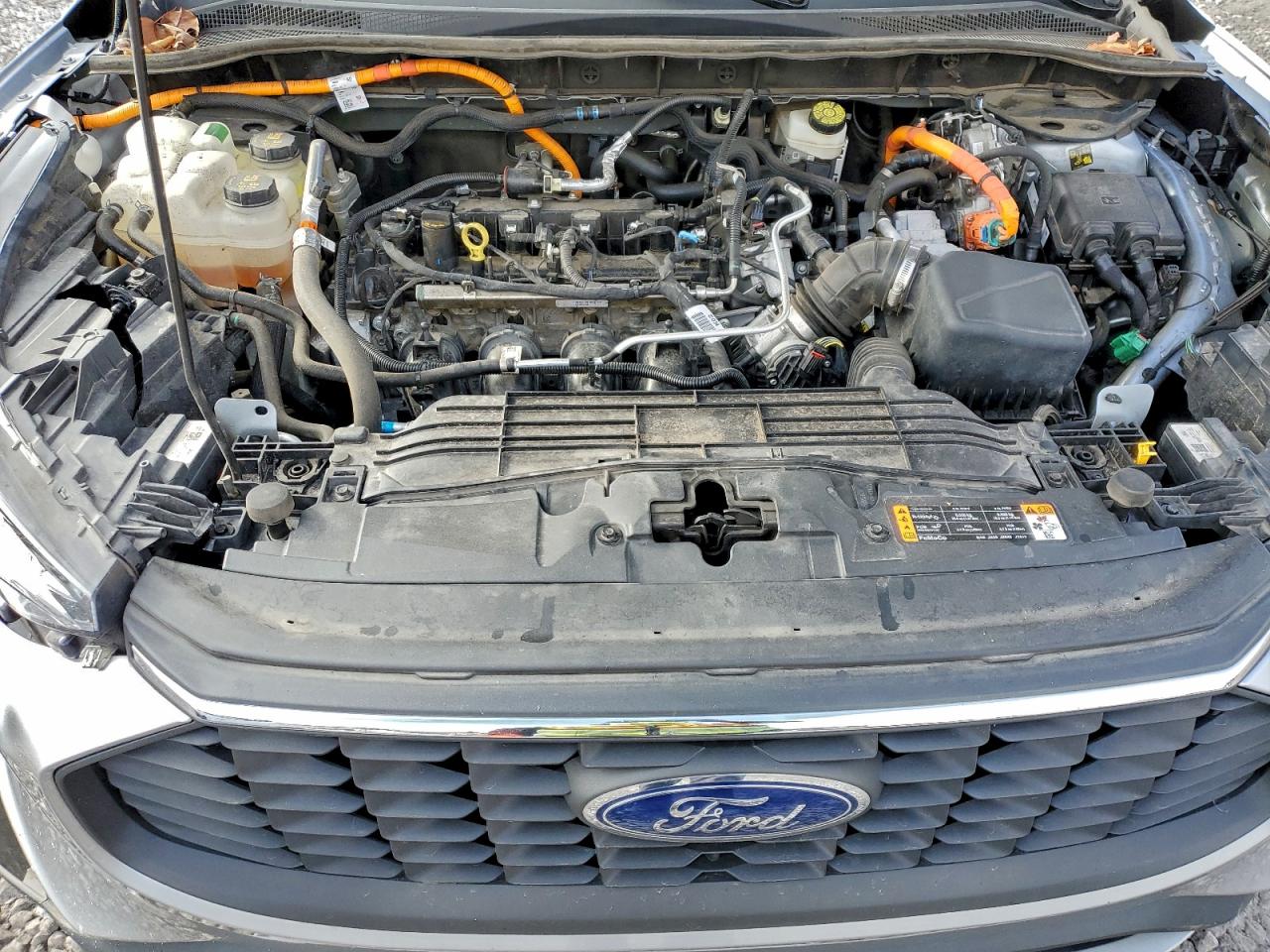 2023 Ford Escape Active VIN: 1FMCU0GZ1PUB00094 Lot: 95025915