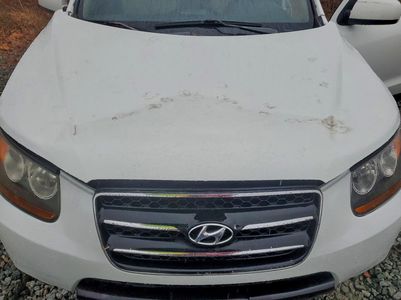 2008 Hyundai Santa Fe Se VIN: 5NMSH13E68H198819 Lot: 95142795