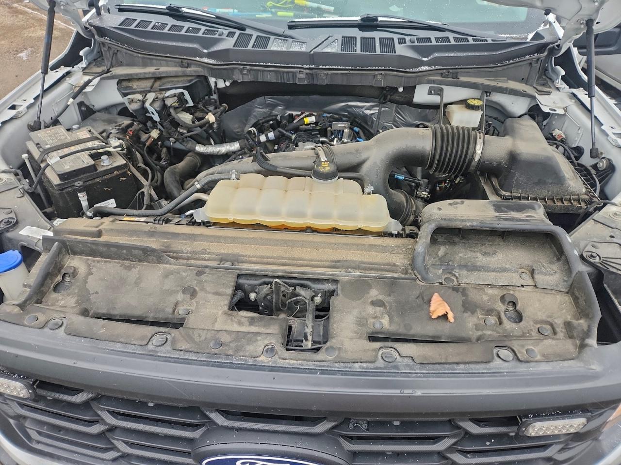 2024 Ford F150 Xl VIN: 1FTEX1LP5RKE11038 Lot: 96669965