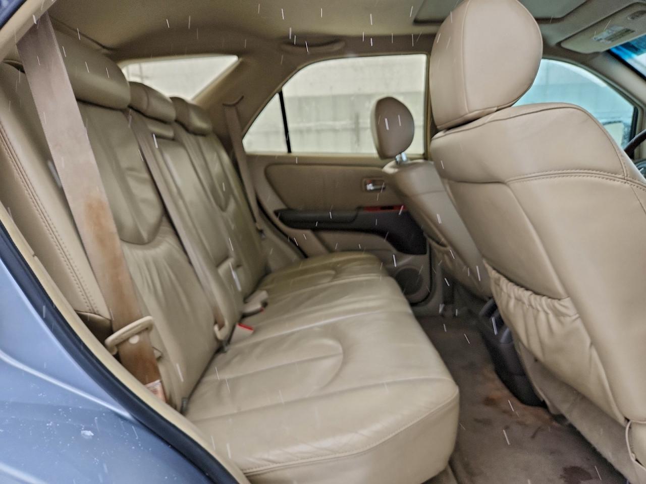 2002 Lexus Rx 300 VIN: JTJHF10U020274244 Lot: 95511945