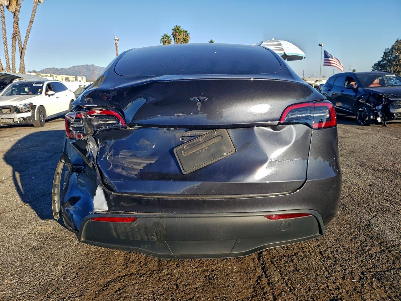 2024 Tesla Model Y VIN: 7SAYGDEE4RA236384 Lot: 94696915