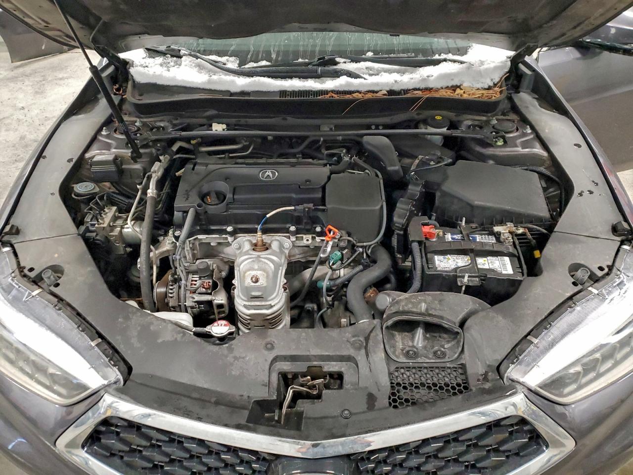 2019 Acura Tlx Technology VIN: 19UUB1F51KA800907 Lot: 95094005